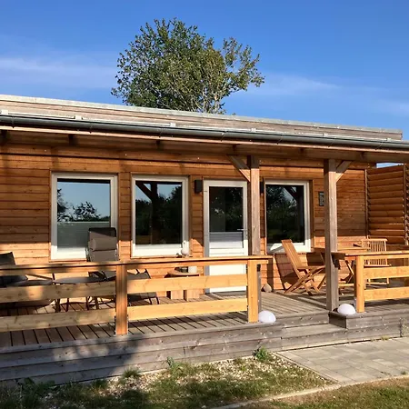 Huehnergott Beim Boddenstrand